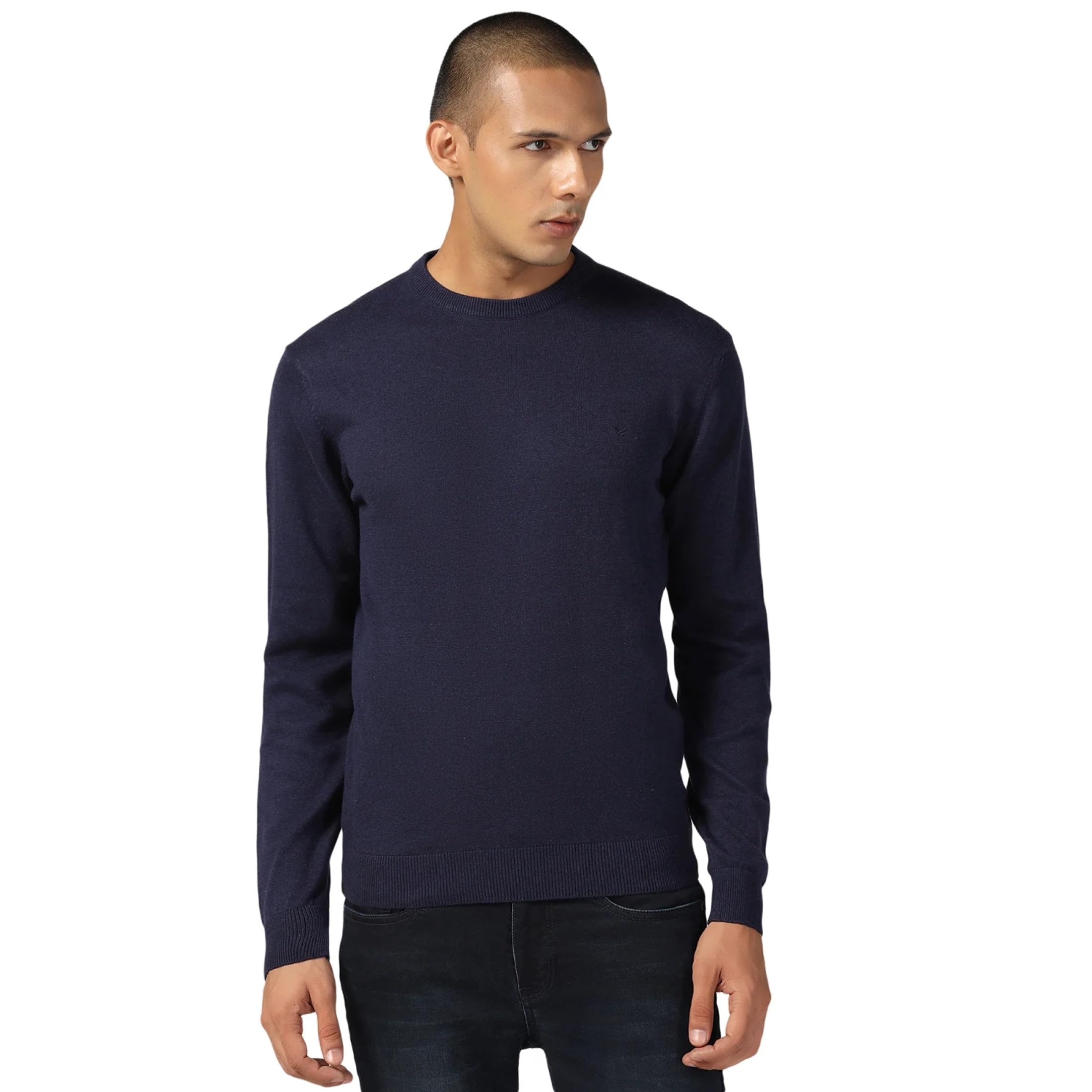 blackberrys Men's Slim Fit Solid Casual Sweaters-picture-10