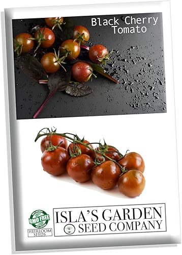 Semillas de tomate cereza negra para plantar, más de 25 semillas de reliquia por paquete, semillas de jardín de Isla (semillas de jardín de Isla),