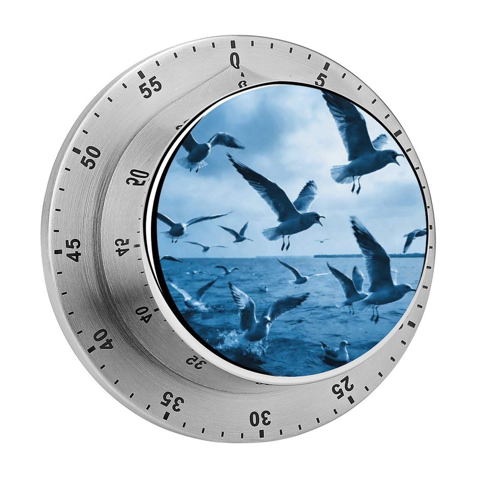 Flocks of Seagulls Follow The Wind. Timer Exquisite Stainless Steel Body Desk Visual Timer with Loud Alarm 60-Minute Mechanical Countdown Timers Magnetic Backing Cooking Kitchen Timers for Work