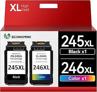 245 XL 246 XL Ink Cartridge Replacement for Canon PG-245XL CL-246XL 243 244 Used for Pixma MG3022 MG2522 TR4520 TR4522 MG2922 MG2920 TS202 MX492 MX490 iP2820 TS302 MG2520