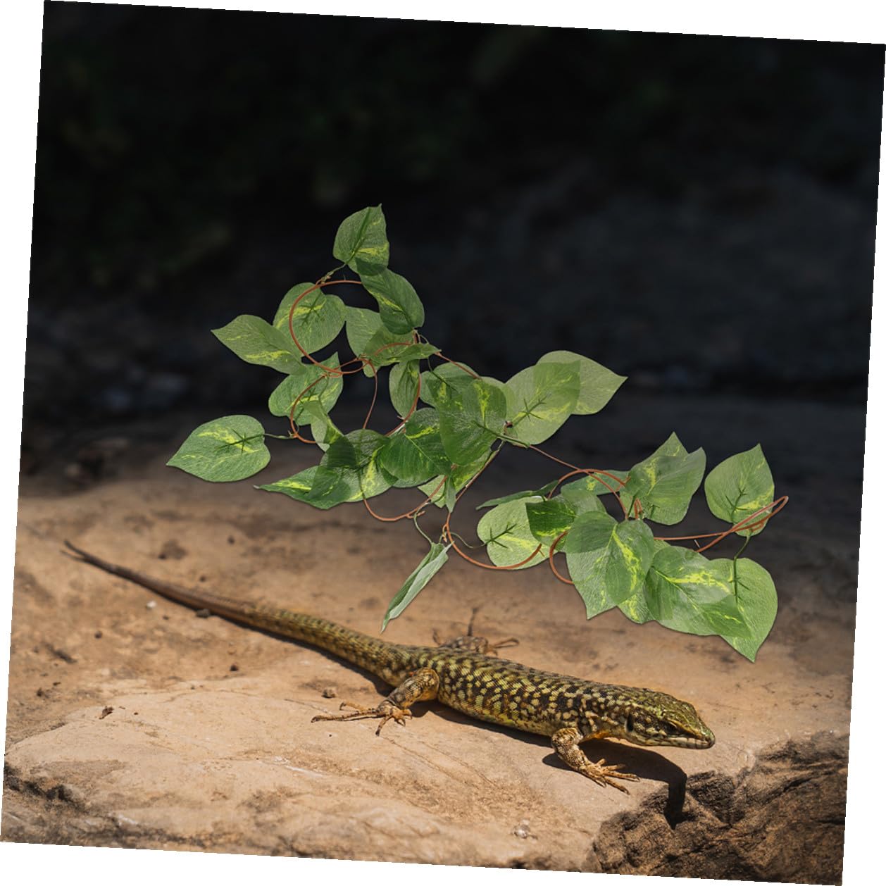 Mipcase 6piezas Plantas Artificiales para Reptiles Decoración de Terrarios Enredaderas Colgantes de Plástico para Acuarios Jaulas Plantas Trepadoras para Decoración de Terrarios