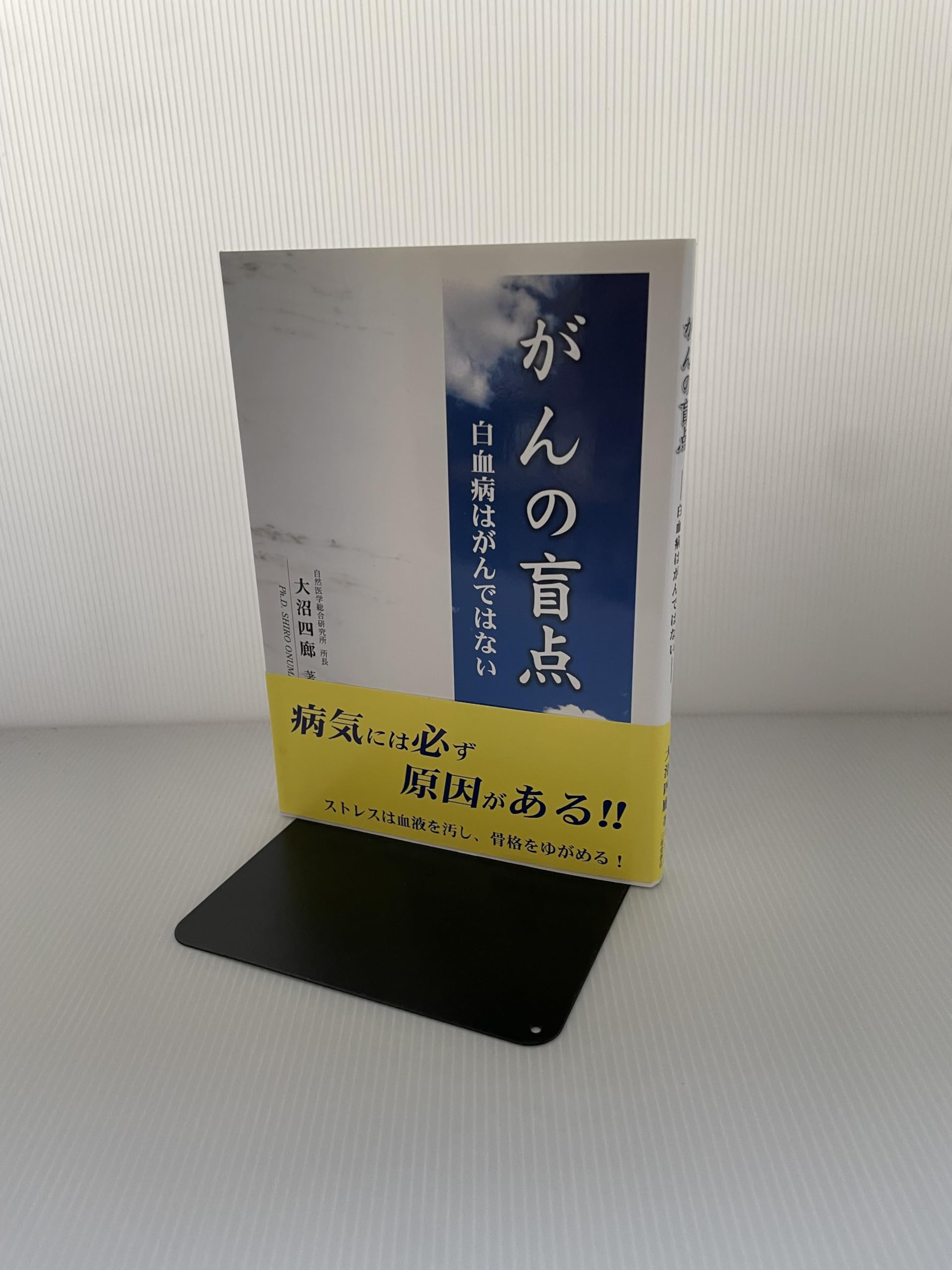 Amazon.co.jp: 大沼 四廊: 本、バイオグラフィー、最新アップデート