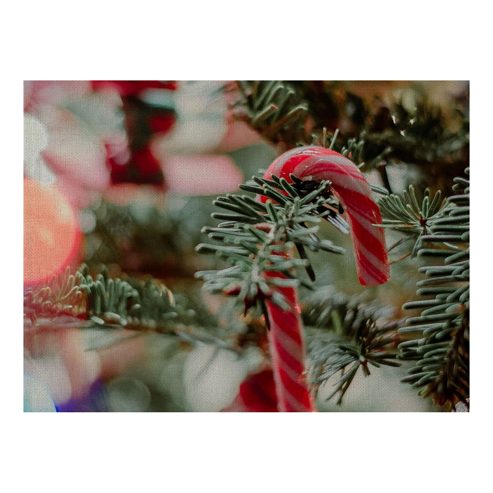 Aeici Decorazioni natalizie, set di 8 tovagliette all'albero di Natale con decorazioni per caramelle, 32 x 42 cm, per cena di Natale