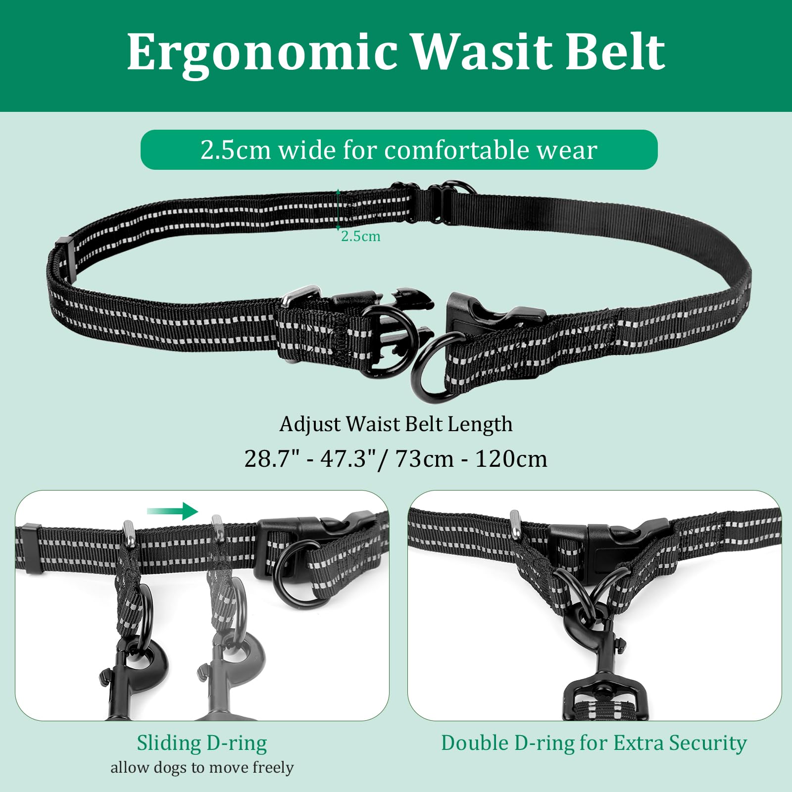 Philorn Hands Free Dog Lead with Adjustable Waist Belt for Medium Large 2 Dogs, Waist Dog Lead for Running Walking, Jogging - Image 4