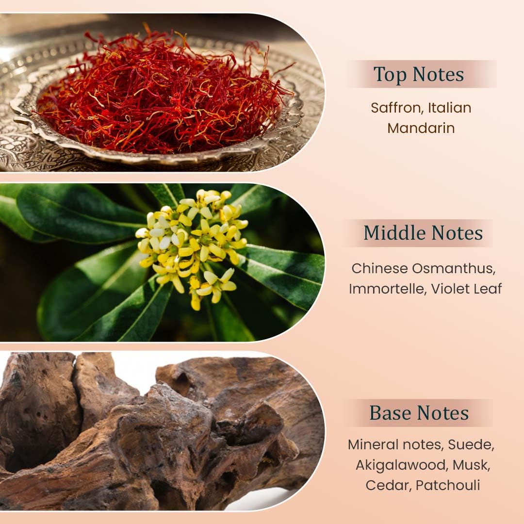 GRAVITY by Symphony Eau De Parfum, 100ml 3.4oz, Inspired by Ganymede by MAB, Luxury Perfume for Men Women Unisex, Long Lasting and Wide Sillage