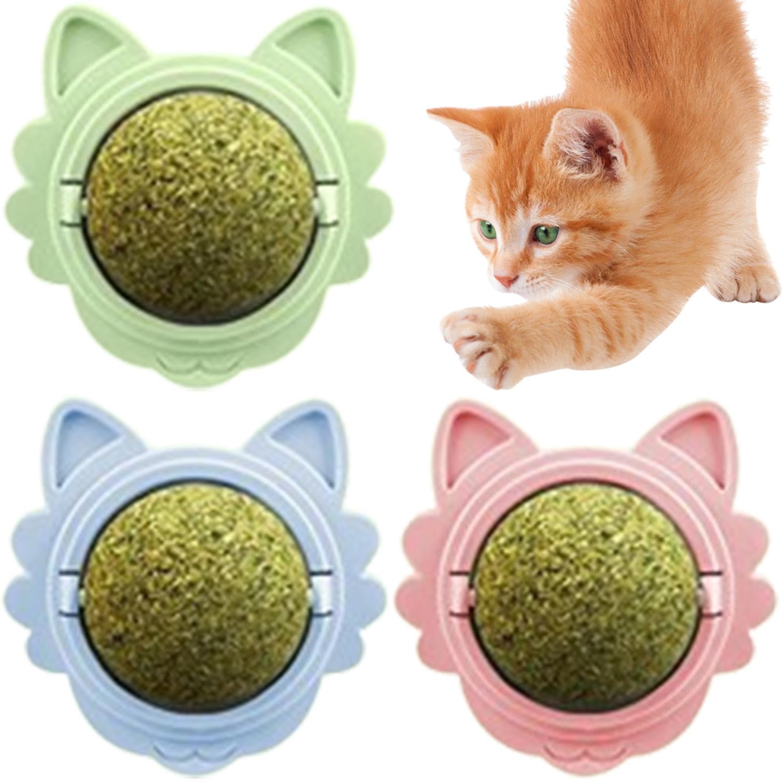 Balle d'herbe à chat pour chats et chatons jouet mural rotatif