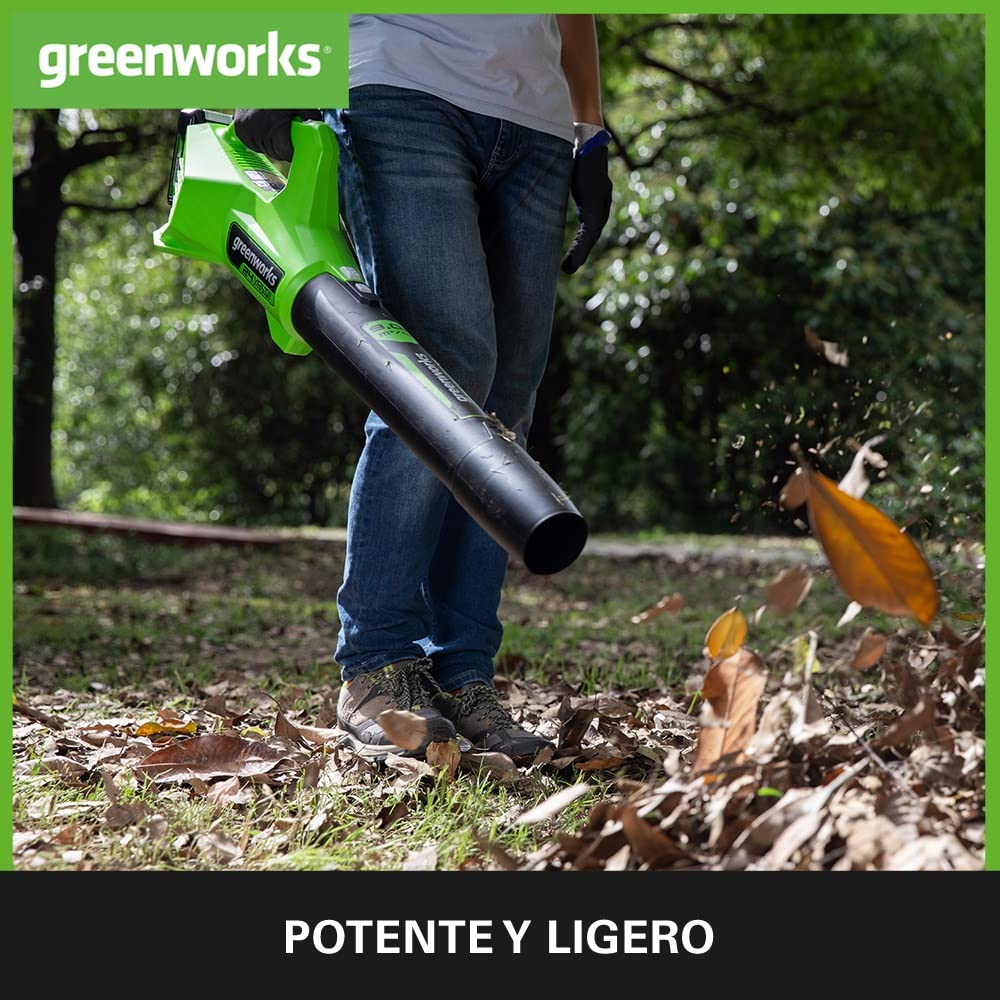 Greenworks Tools G24ABII Soplador de Hojas a Batería Axial, 145 km/h, 9,08 m³/min SIN Batería de 24V y Cargador