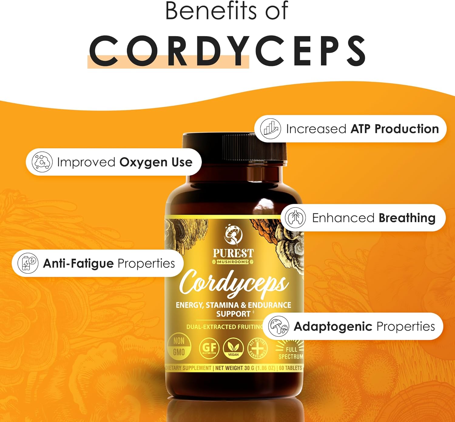 Cordyceps Mushroom Extract Tablets - 30g Monthly Supply - Dual-Extraction Fruiting Body - 35%+ Beta-glucans + Active Compounds - Pure Organic Cultivation - No Fillers or Additives - Image 4