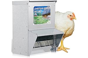 Feed O Matic Chicken Feeder: Automated Poultry Feeding Solution