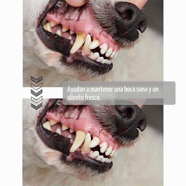 Foto 4 de 4 de BPS - 5096 Buena Pet Shop Hueso Prensado para Perros Piel Vacuno Fortalecedor de Dientes Stick Dental Dog…