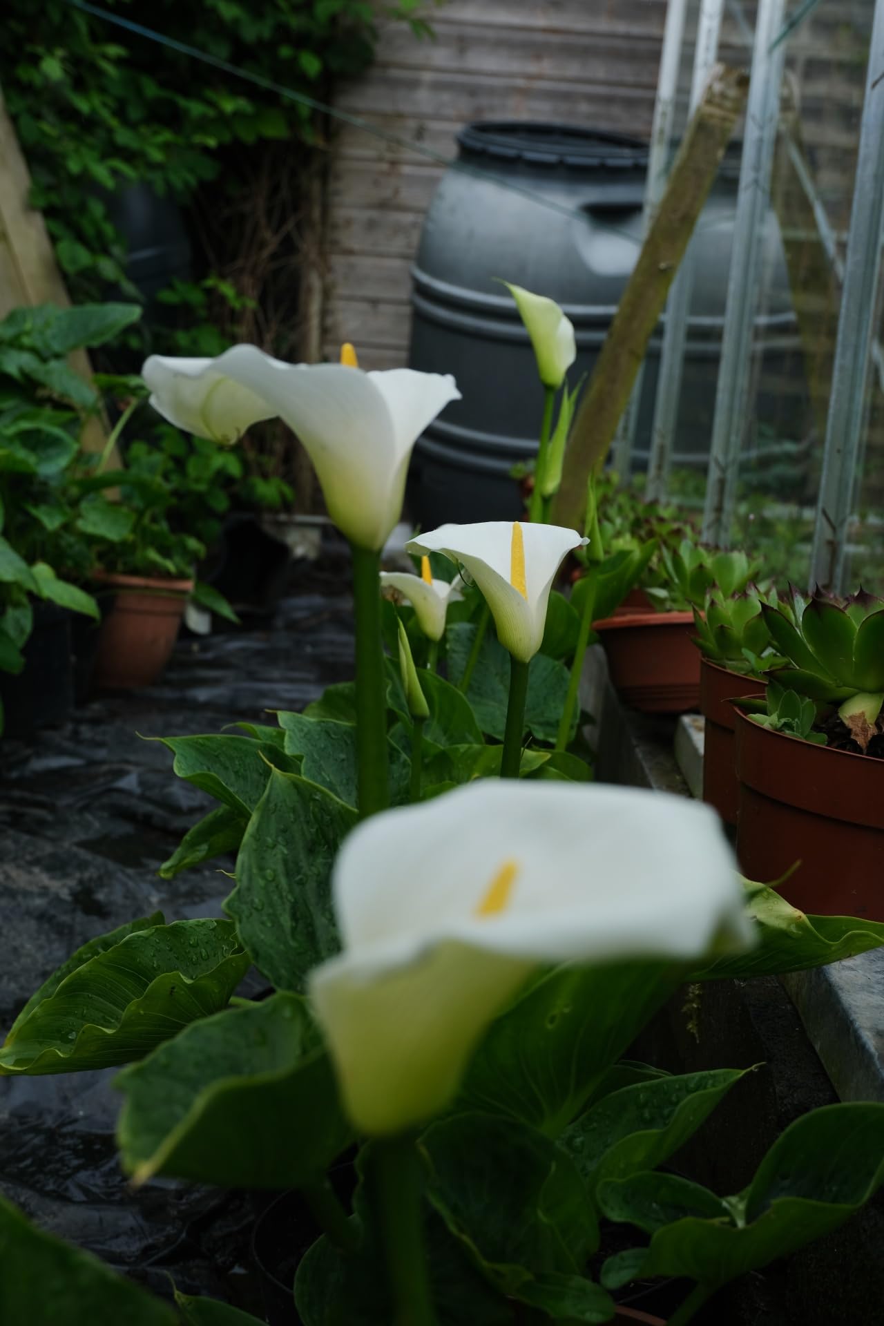 View 9