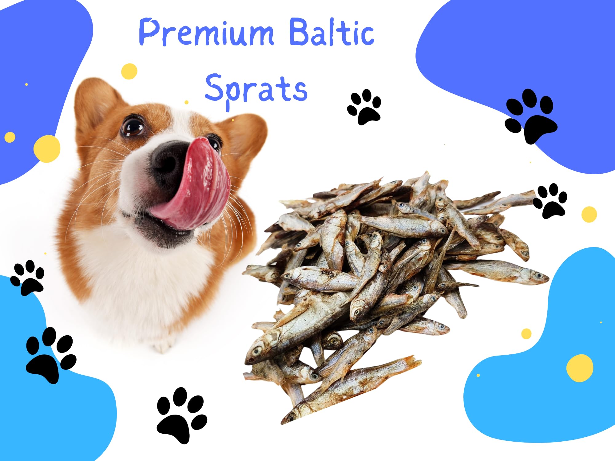Snack per cani Premium Sprats del Baltico - Delizia di pesce essiccato all'aria naturale al 100% per cani | Sano, senza cereali, senza glutine e lattosio | Cibo crudo ipoallergenico p