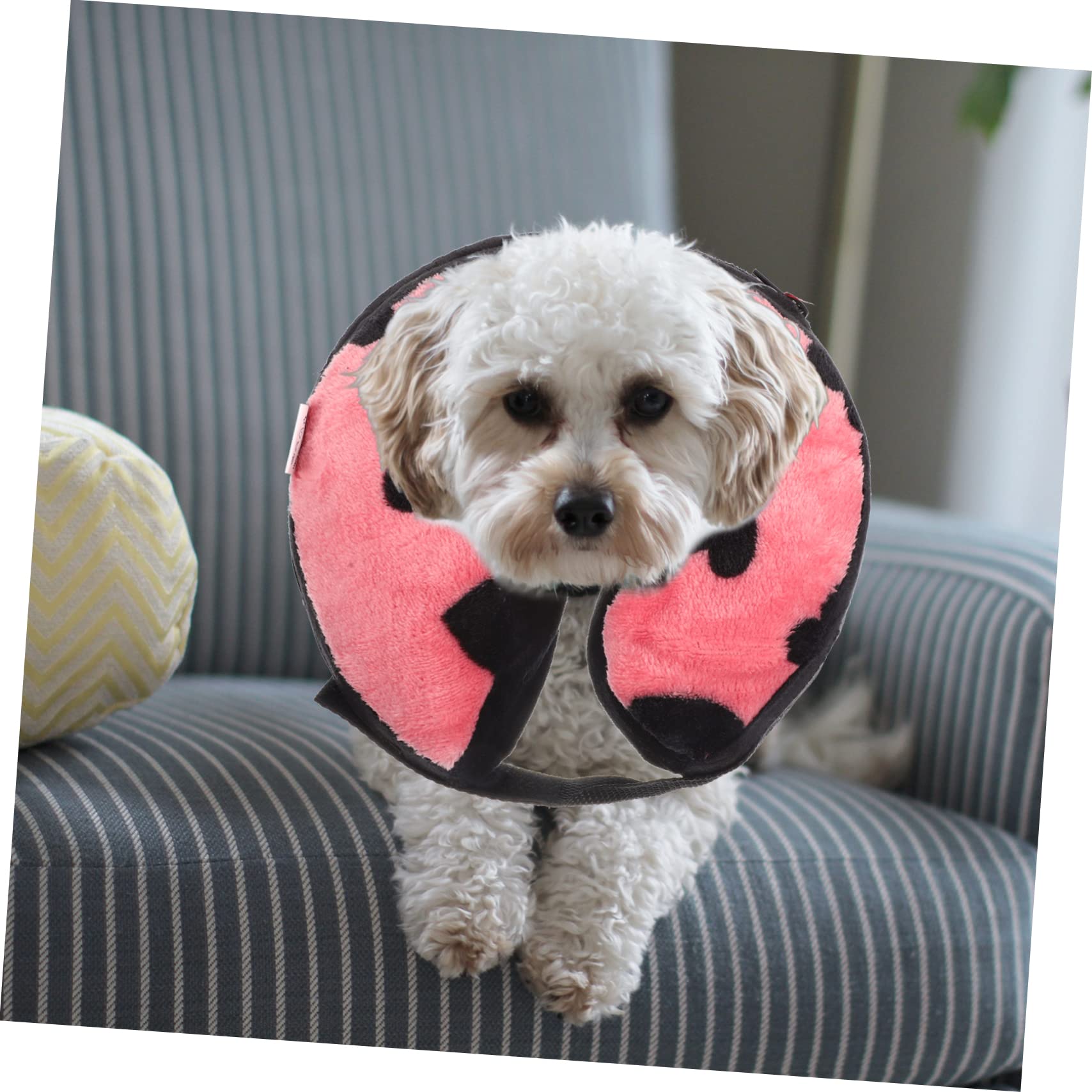 Beavorty 4piezas Collar Inflable De para Gatos y Collar Protector para Comidas y Accesorio Cómodo