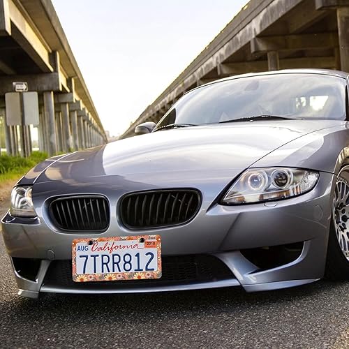 Miniatura 5 de Marcos de matrícula de fondo floral vintage nostálgico retro, marcos de matrícula con protección contra el óxido, acero inoxidable, tornillos