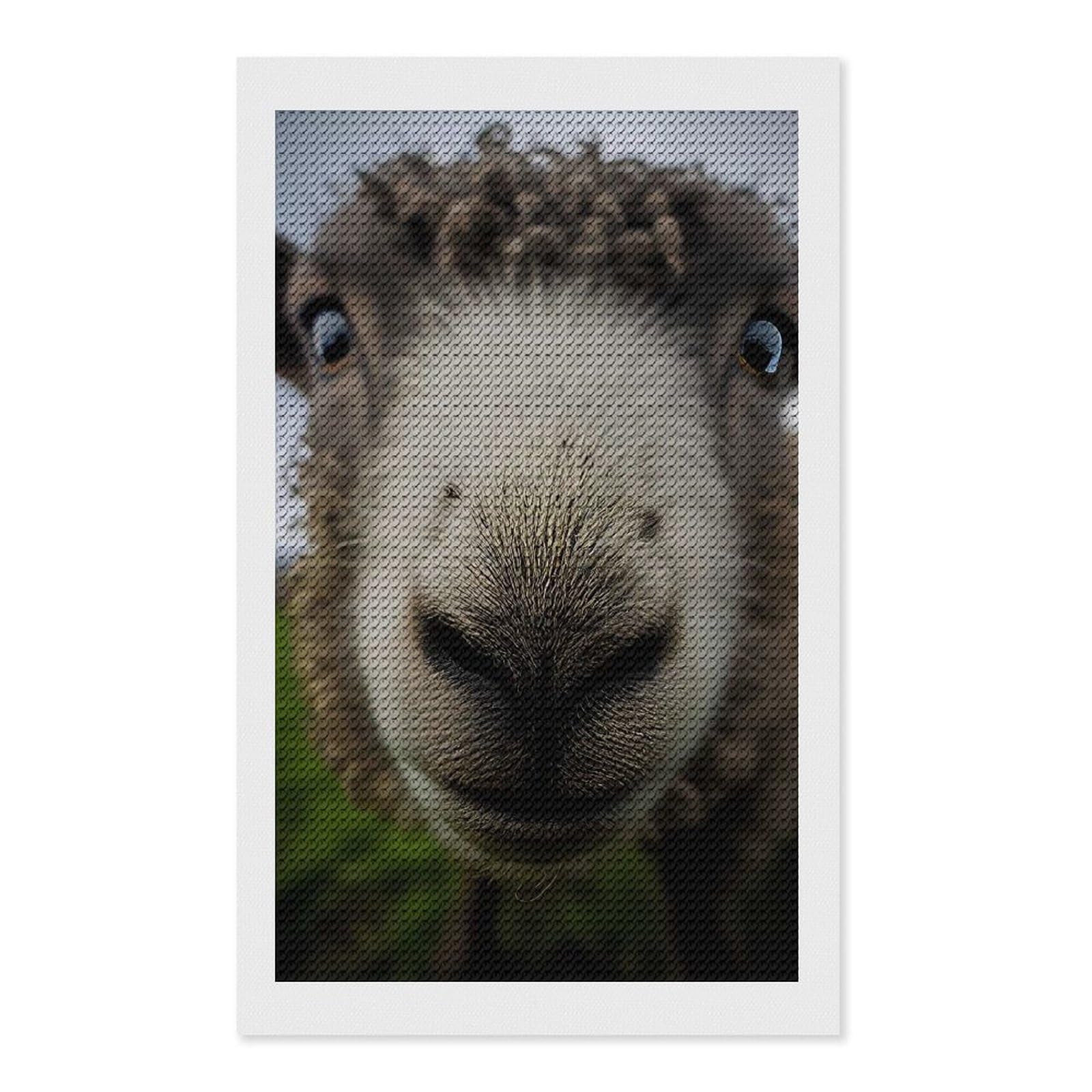 Junmoney Sheep with A Big Nose Diamond Painting Canvas Set 12"x20", Satisfying Creative Project, Easy to Follow Symbols, Fun Craft Experience