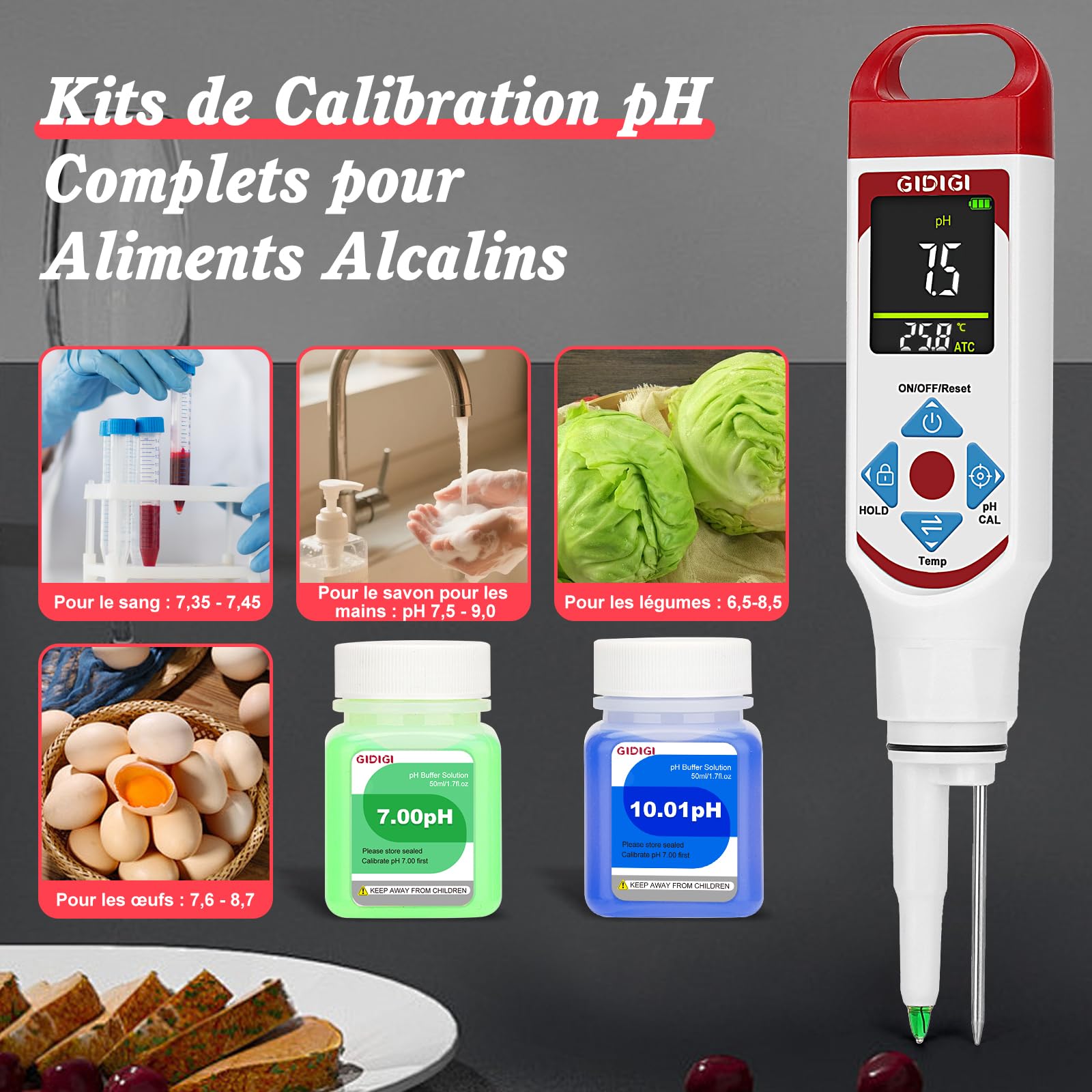 pH-mètre pour fermentation alimentaire, testeur de pH à sonde avec écran couleur (avec compensation automatique de température) pour cosmétiques, levain, viande, fromage, conserves, légumes marinés