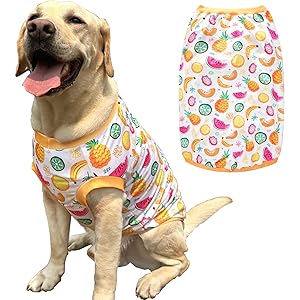 Pet Dog Yellow Sleeveless T Shirts with Fruits Pattern Printed pet Clothes Soft Breathable Vest for Large Dogs 2X-Large,Fruits