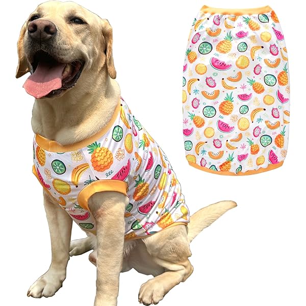 Pet Dog Yellow Sleeveless T Shirts with Fruits Pattern Printed pet Clothes Soft Breathable Vest for Large Dogs 2X-Large,Fruits