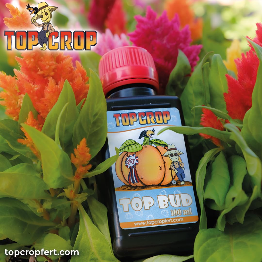 Top Crop - Top Bud 250 ml