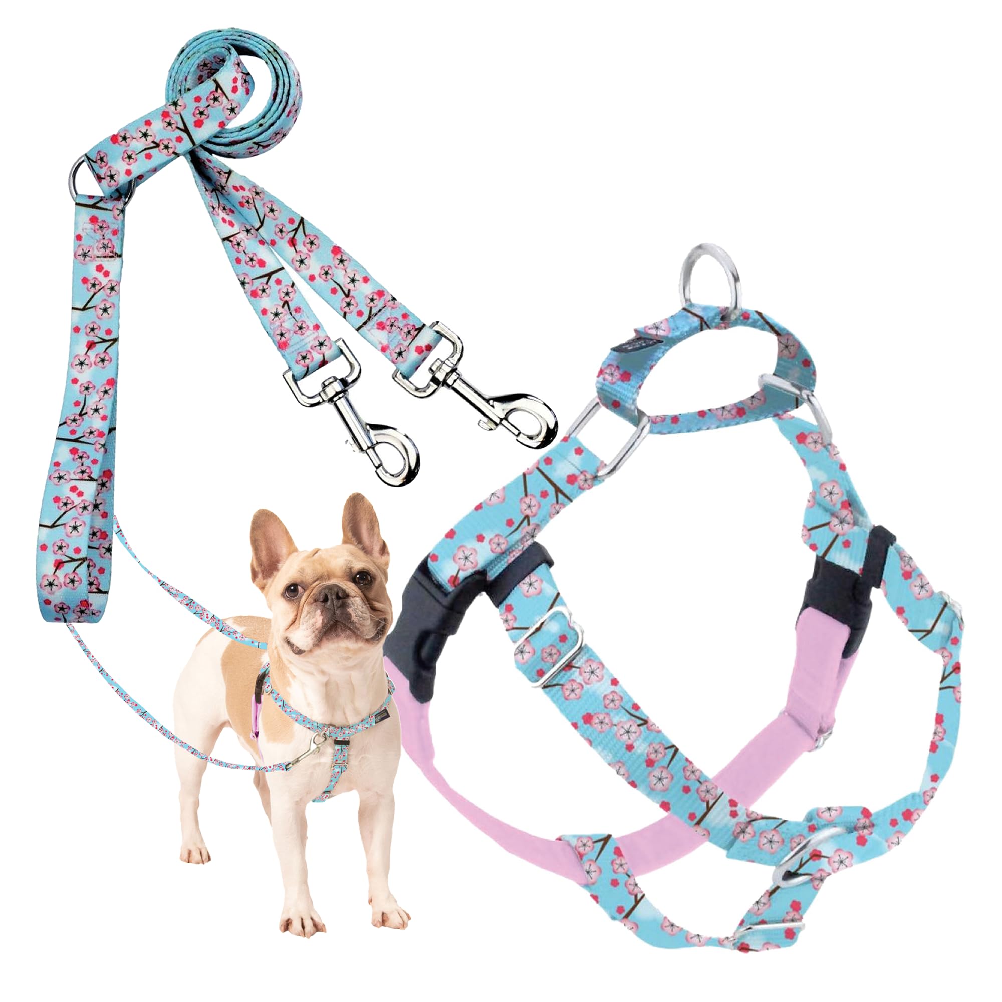 2 Hounds Design - Freedom No-Pull Harness & Training Leash in Pink and Blue | Dual Leash Loops, No Pulling on Walks | Lined to Prevent Chaffing | for Small Sized Dogs (Size S, Chest 20”- 24”) — image 1