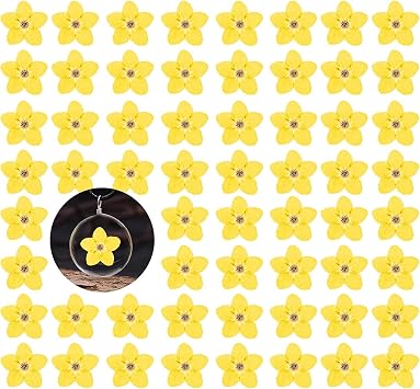 HEISENLIN Dried Forget Me Not Flowers, 60PCS Yellow, Natural, DIY Craft, Resin Jewelry, Candle, Card Making, Nail Art, Flower Ornaments