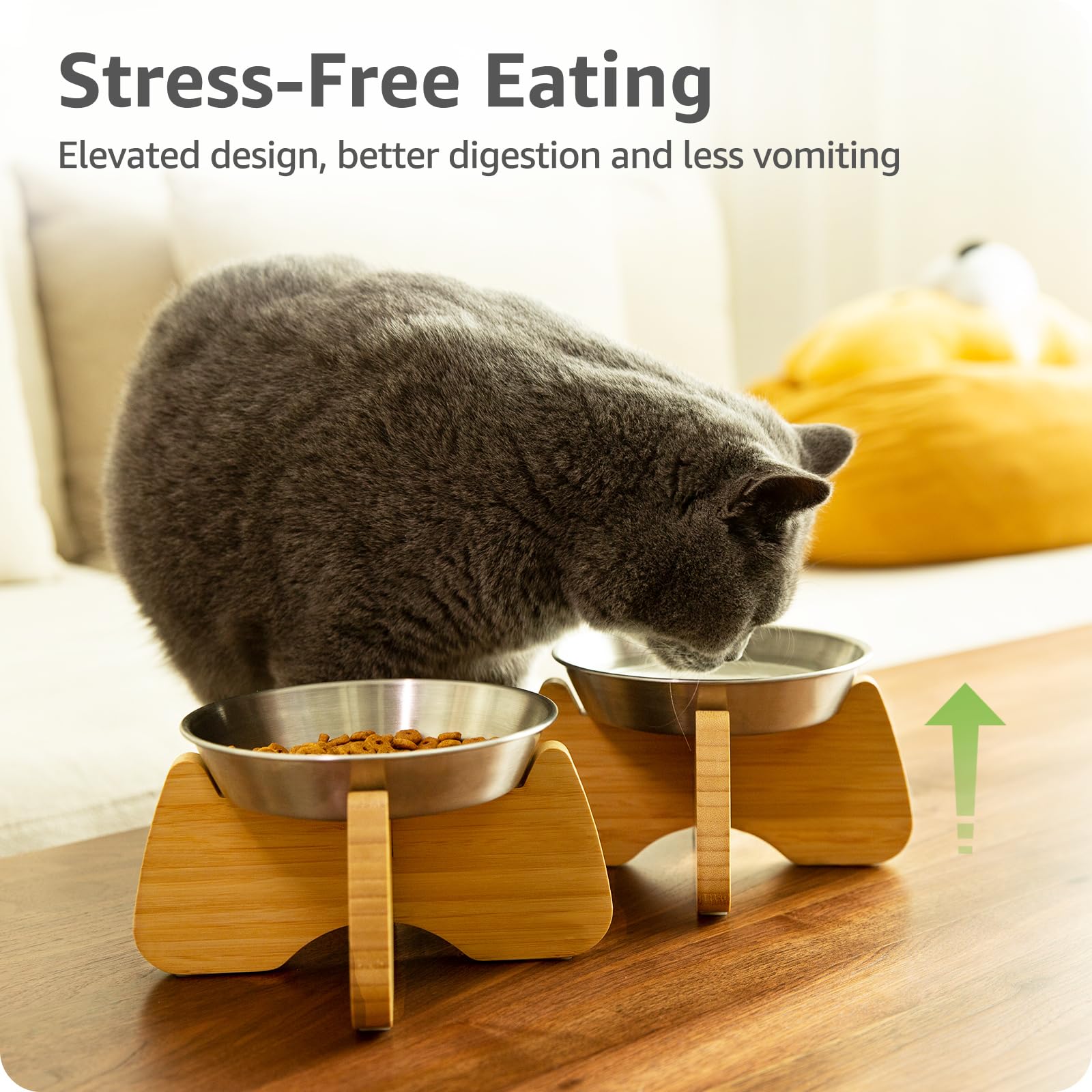 Amazon.com : GUWINA Raised Stainless Steel Cat Bowl with Bamboo