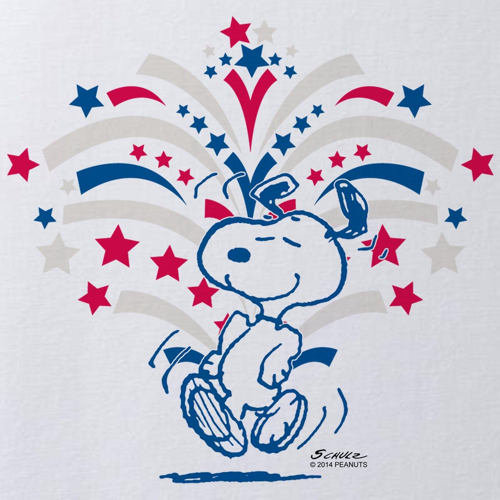 Amazon.com: CafePress Snoopy Fireworks 11x14 Canvas Print: Posters