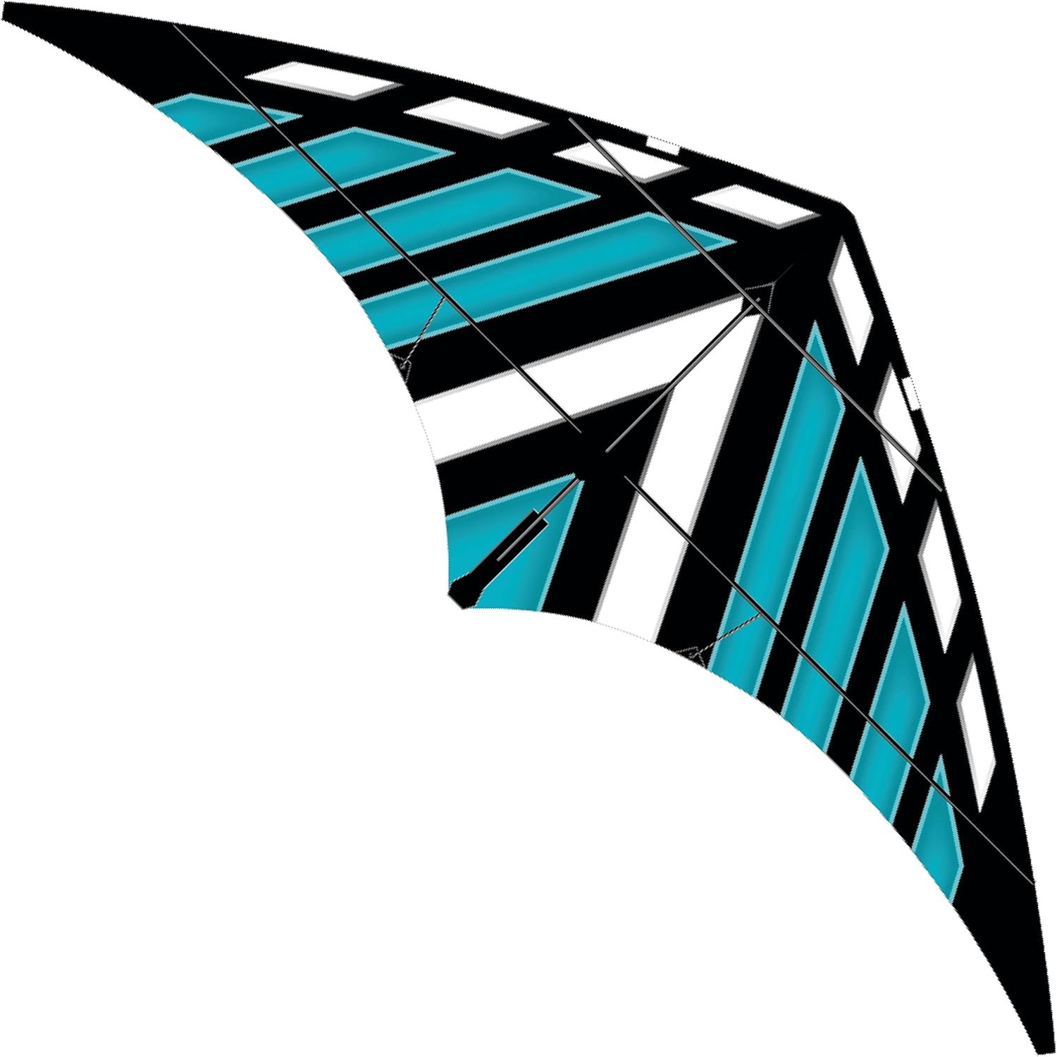 WindNSun DC Sport 70 Dual Control Ripstop Nylon Delta Stunt Kite, 70 inches wide