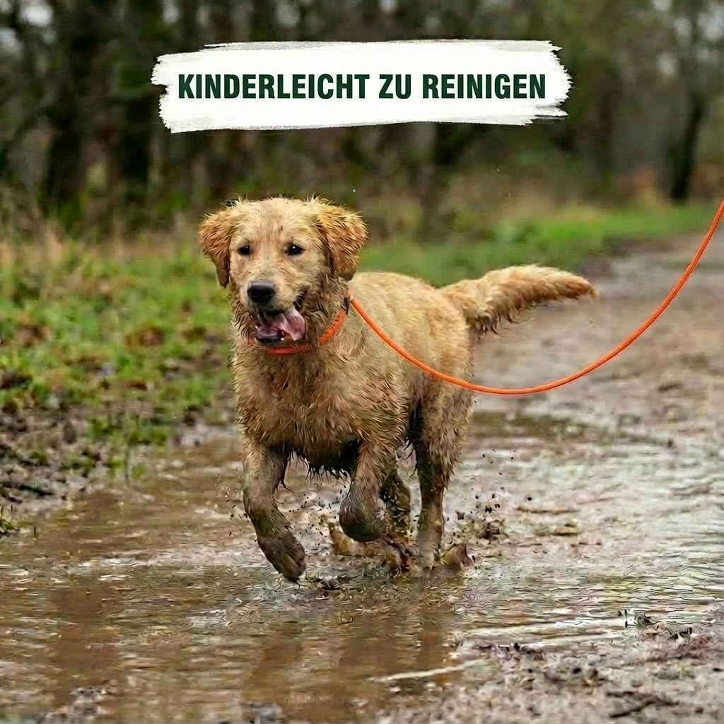 Biothane Umhänge Moxonleine 6mm dünne Retrieverleine | lautlose Jagdleine | stufenlos verserstellbar | Hundeleine für kleine bis große Hunde | 260-300cm Länge | mit Zugstopp (Orange, 300cm)