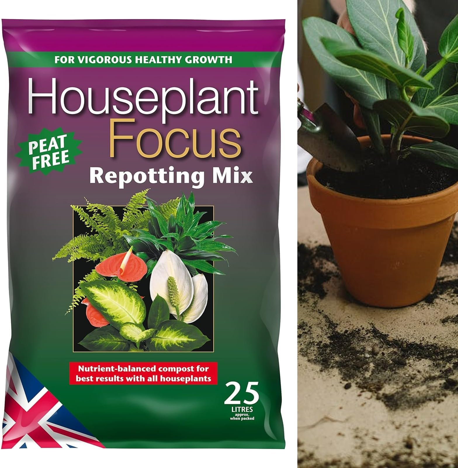 Peat Free Compost for Indoor Plants 25 Litres Houseplant Focus