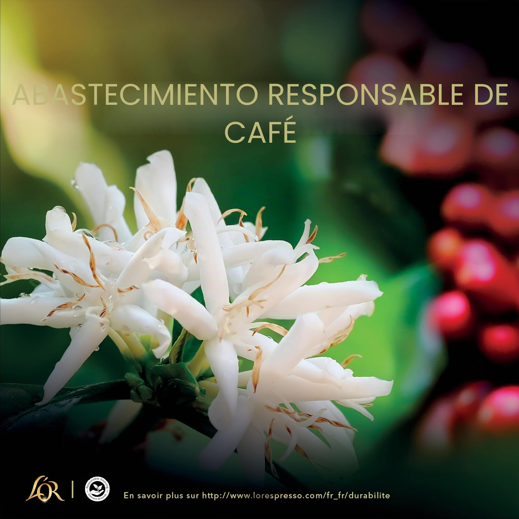 L'Or Espresso Café - 100 Ristretto Intensity 11 cápsulas - Compatible con Nespresso® * 10 paquetes de 10 cápsulas