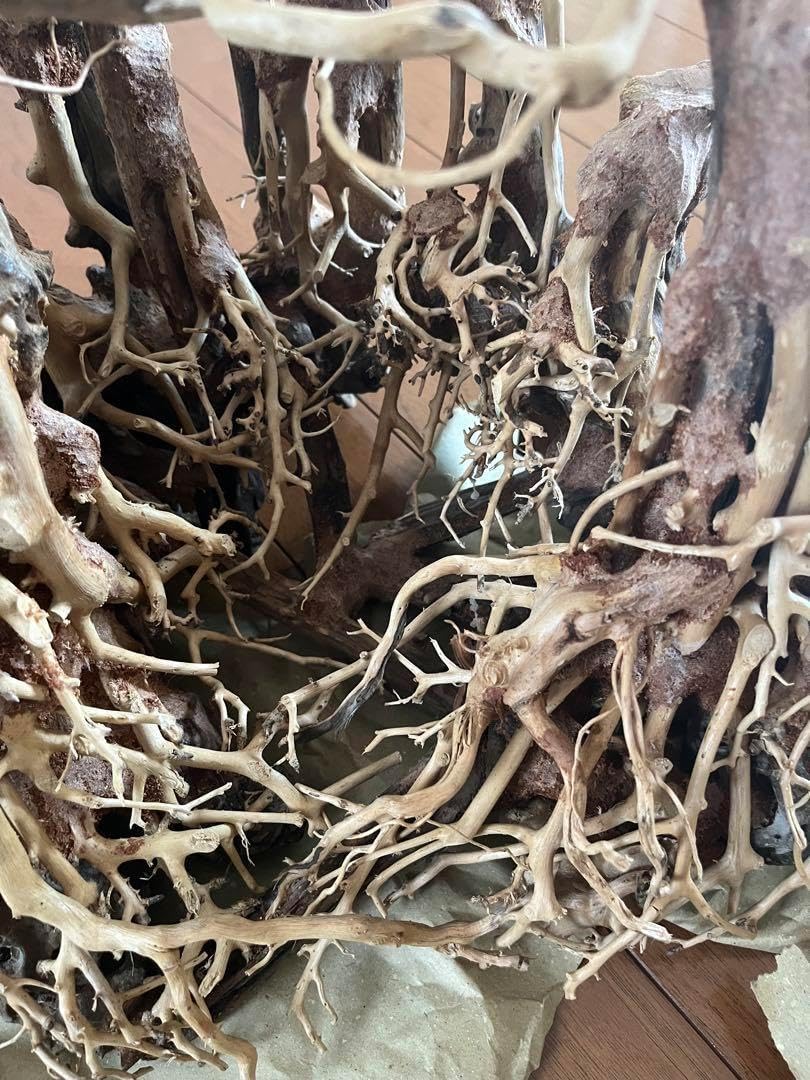 インテリア　観賞用　ディスプレイ　高級流木　黒色褐色A アンティーク インテリア 観賞用 ディスプレイ 高級流木 黒色褐色A アンティーク