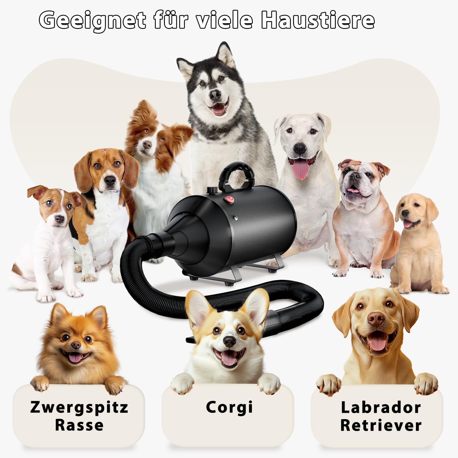 Soffiatore per Cani 3000W Blower Molto Silenzioso velocità Regolabile, Ventilatore per la Cura del Cane con 4 Diversi ugelli e Tubo Elastico