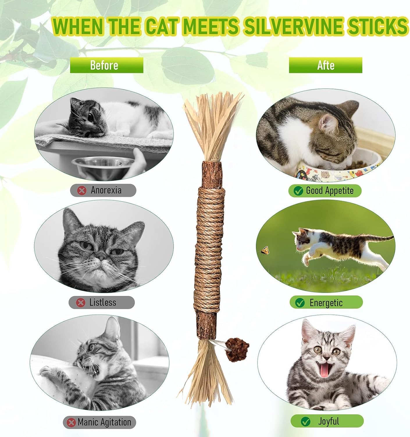 Simsky 6 Pezzi Bastoncini Erba Gatta per Gatti, Bastoncini Cura Denti per Gatti, Bastoncini di Erba Gatta Naturale di Giocattoli per la Cura Dentale, Bastoncini per il Gatto Contro l'alito Cattivo