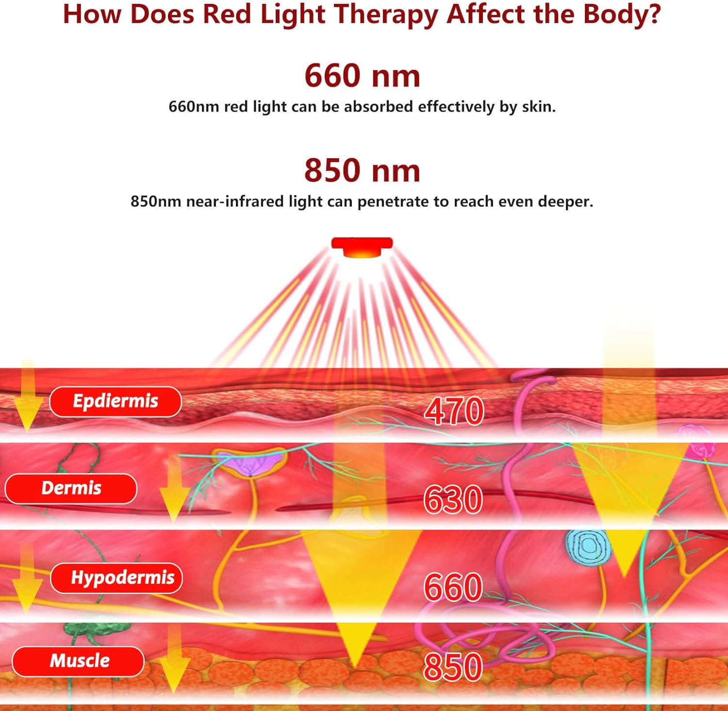 D MAX Cordless Red Light Therapy Knee Wrap, 3 in 1 Near Infrared Therapy Wrap with Battery Pulse Therapy for Joint, Shoulder Pain Relief - Image 6