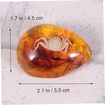 3pcs Insect Specimen Amber Real Bug with Insect Amber Sample Amber Insect