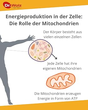 Zell Oxygen Plus 250ml…