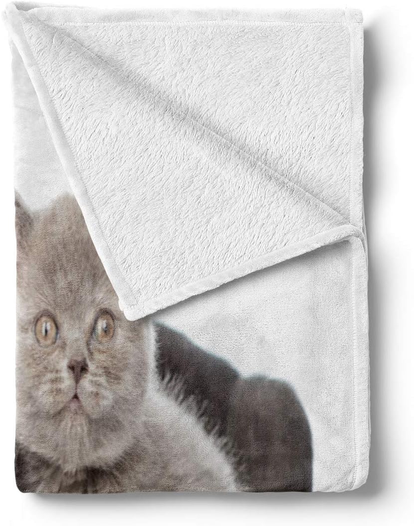 Ambesonne Dog and Cat Throw Blanket, Neapolitan Mastiff and a Grey Kitten Looking at Camera, Flannel Fleece Accent Piece Soft Couch Cover for Adults, 50" x 60", Black Grey