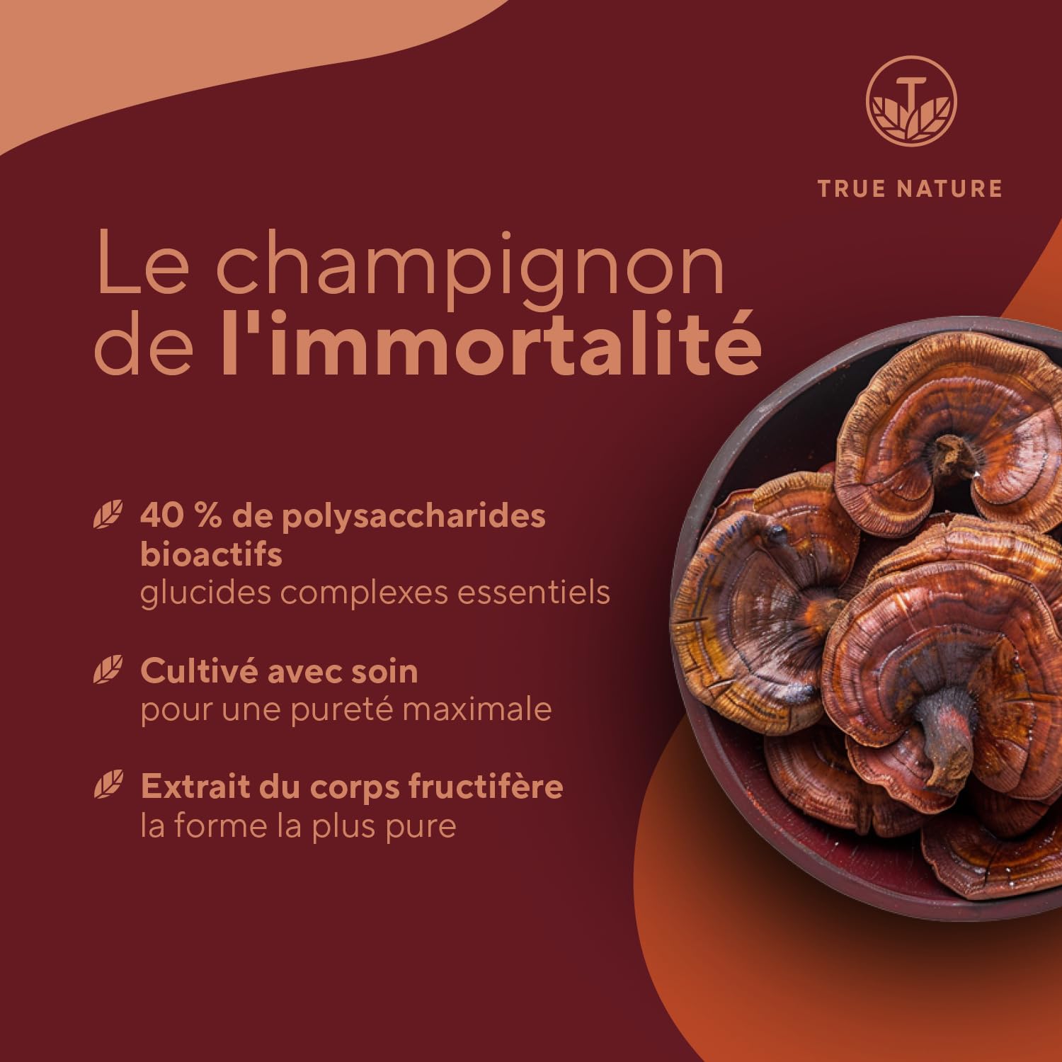 Reishi Ganoderma Lucidum - 270 Gélules - 20.100mg/jour, Extra Concentré (5:1) - 40% Polysaccharides - Immunité & Énergie - Sans Additifs, Gluten & Lactose - TRUE NATURE