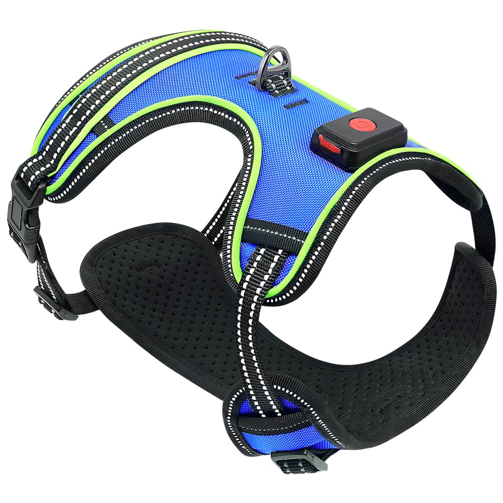 Arnés luminoso para perros recargable LED chaleco reflectante para perros arnés antitracción para perros que caminan por la noche (luz azul + verde, XL)