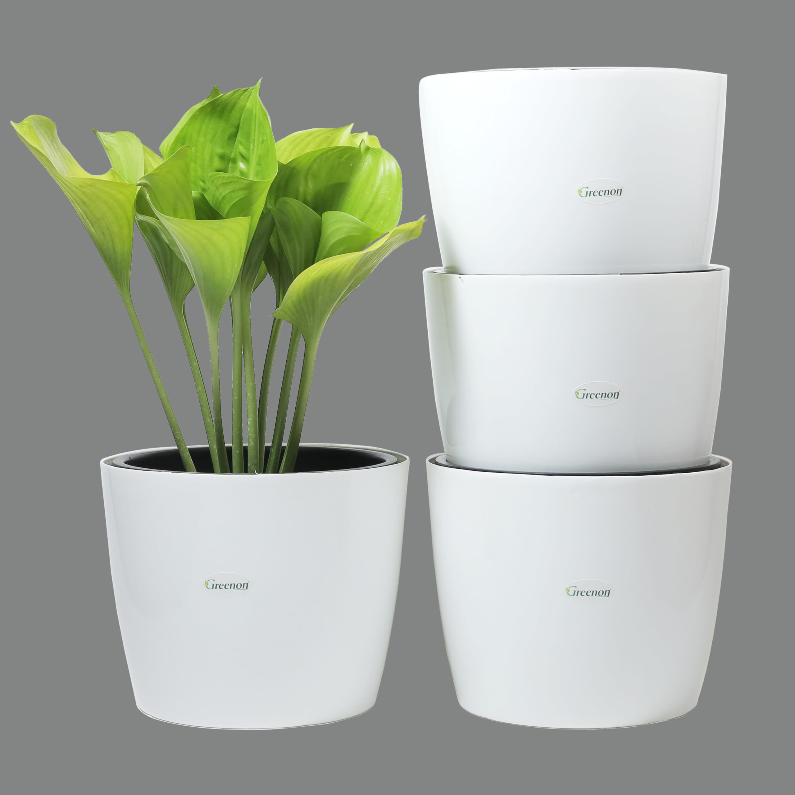 GREENON® Set of 4 (8 Pieces) 10 Inch Self Watering Plant Pots | White Outer & Black Inner Flower Pots | UnFadable Plastic | Premium Indoor & Balcony Planters | Low Maintenance Gamla-image-48