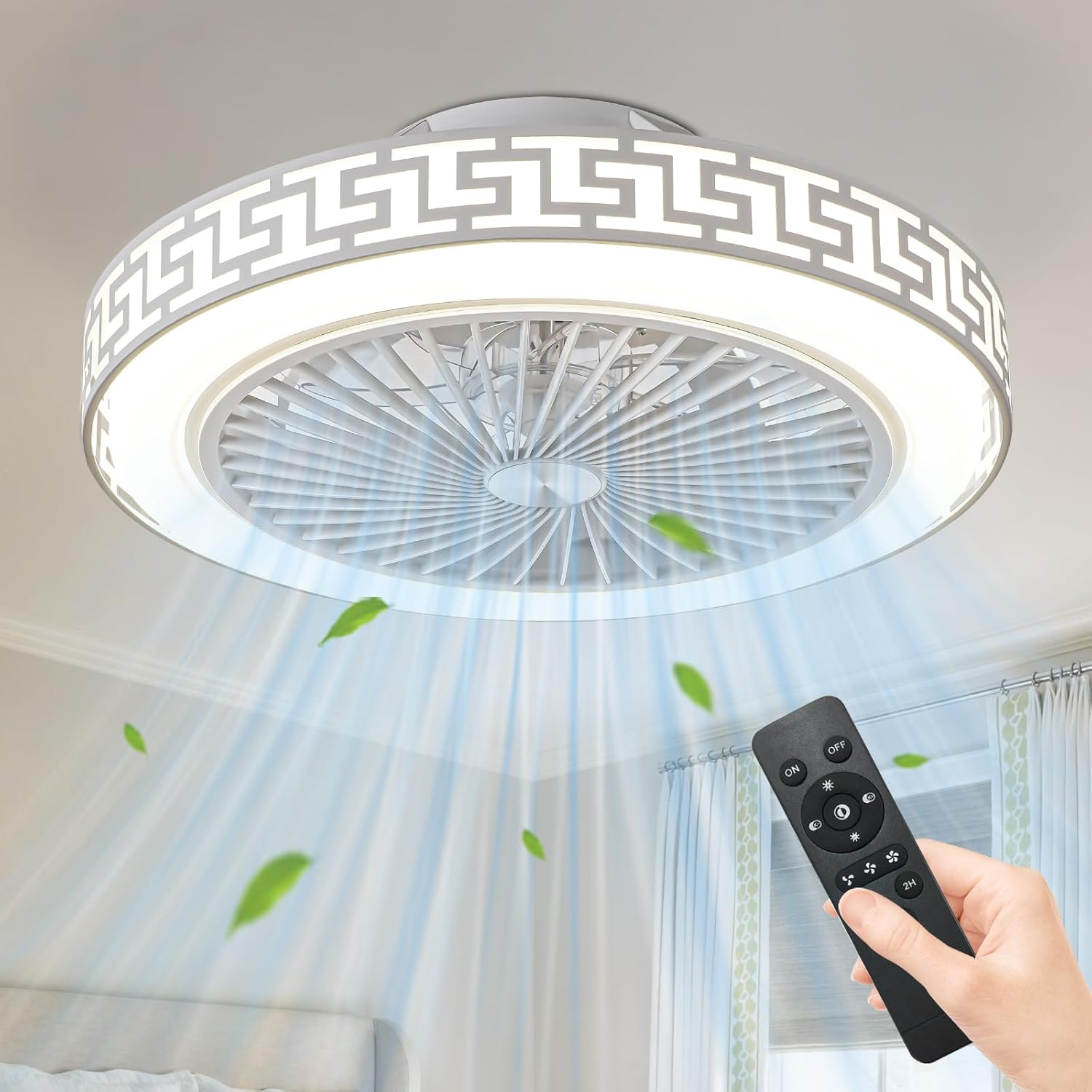 19" Modern Ceiling Fans with Lights and Remote, 3 Speeds Enclosed