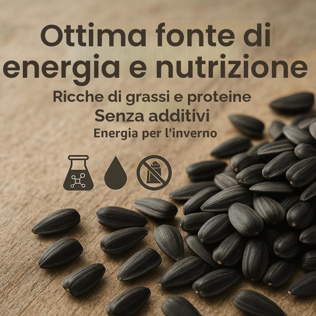 GiDeli Semi di girasole nero, 25 kg, in mangime per uccelli selvatici, per tutto l'anno