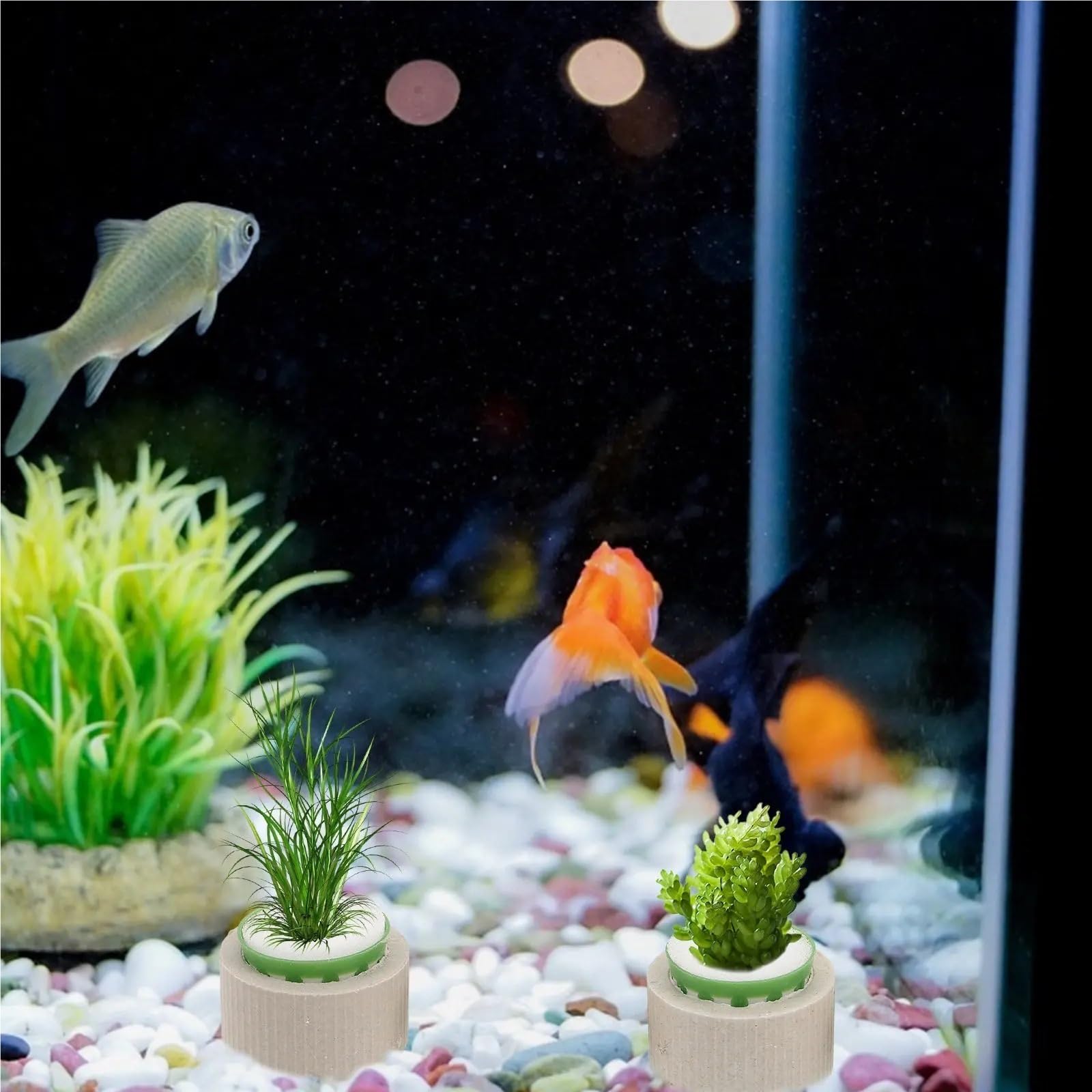 9 Stück Wasserpflanzen-Festringe Aus Keramik Für Aquarium