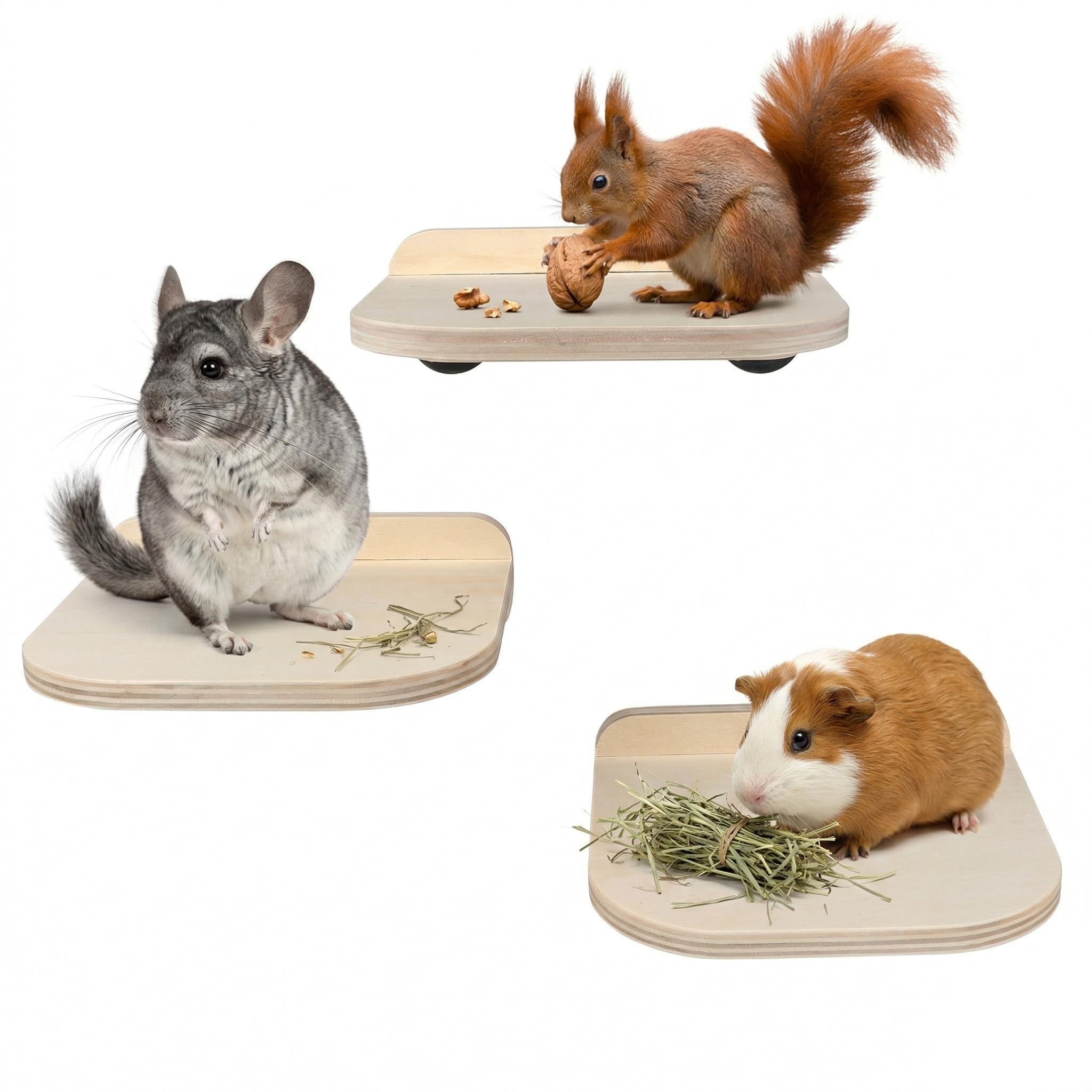 Amazon.com : Chinchilla Wooden Platform Set Chinchilla Cage Ledges Amazon.com : Chinchilla Wooden Platform Set Chinchilla Cage Ledges