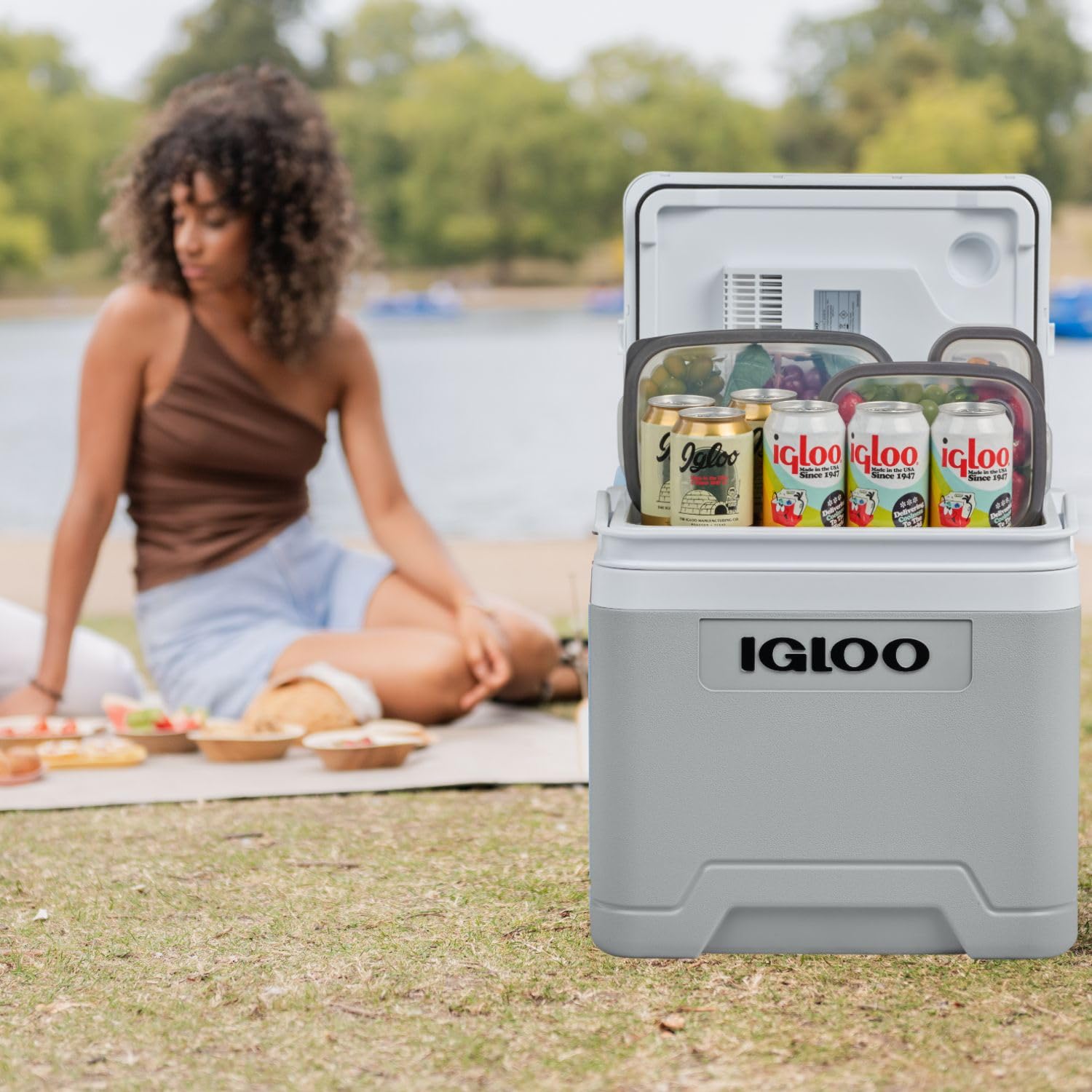 IGLOO IE27 elektryczna lodówka turystyczna 12V/230V, 26L – kompaktowa lodówka samochodowa na kemping, wakacje, łódź i festiwale, lekka i przenośna, ze schowkiem na kabel oraz trybem Eco/Max