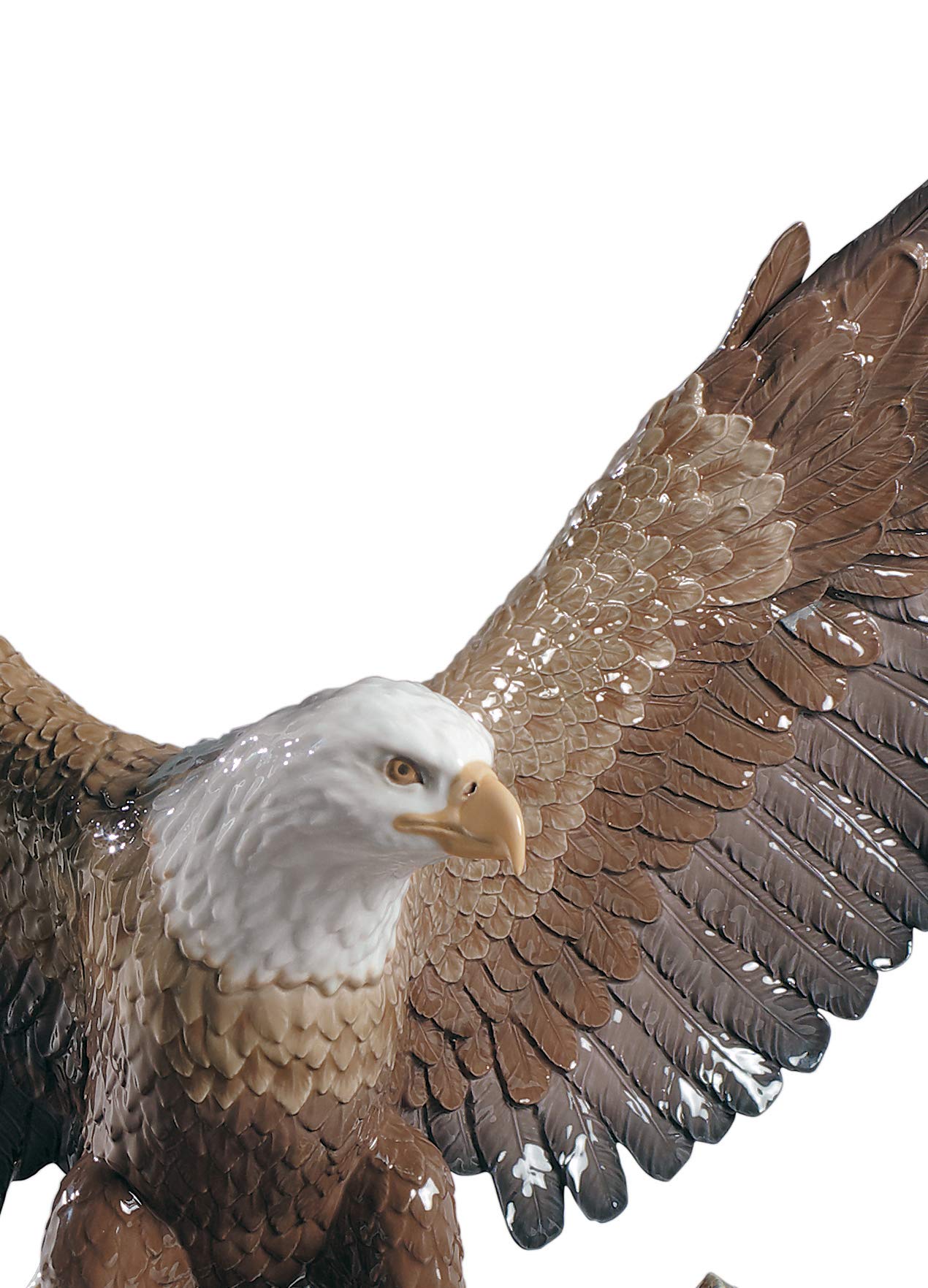 Amazon.com: LLADRÓ Freedom Eagle Sculpture. Porcelain Eagle