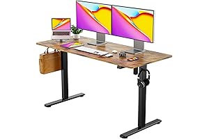 Height Adjustable 48" Electric Standing Desk for Home Office