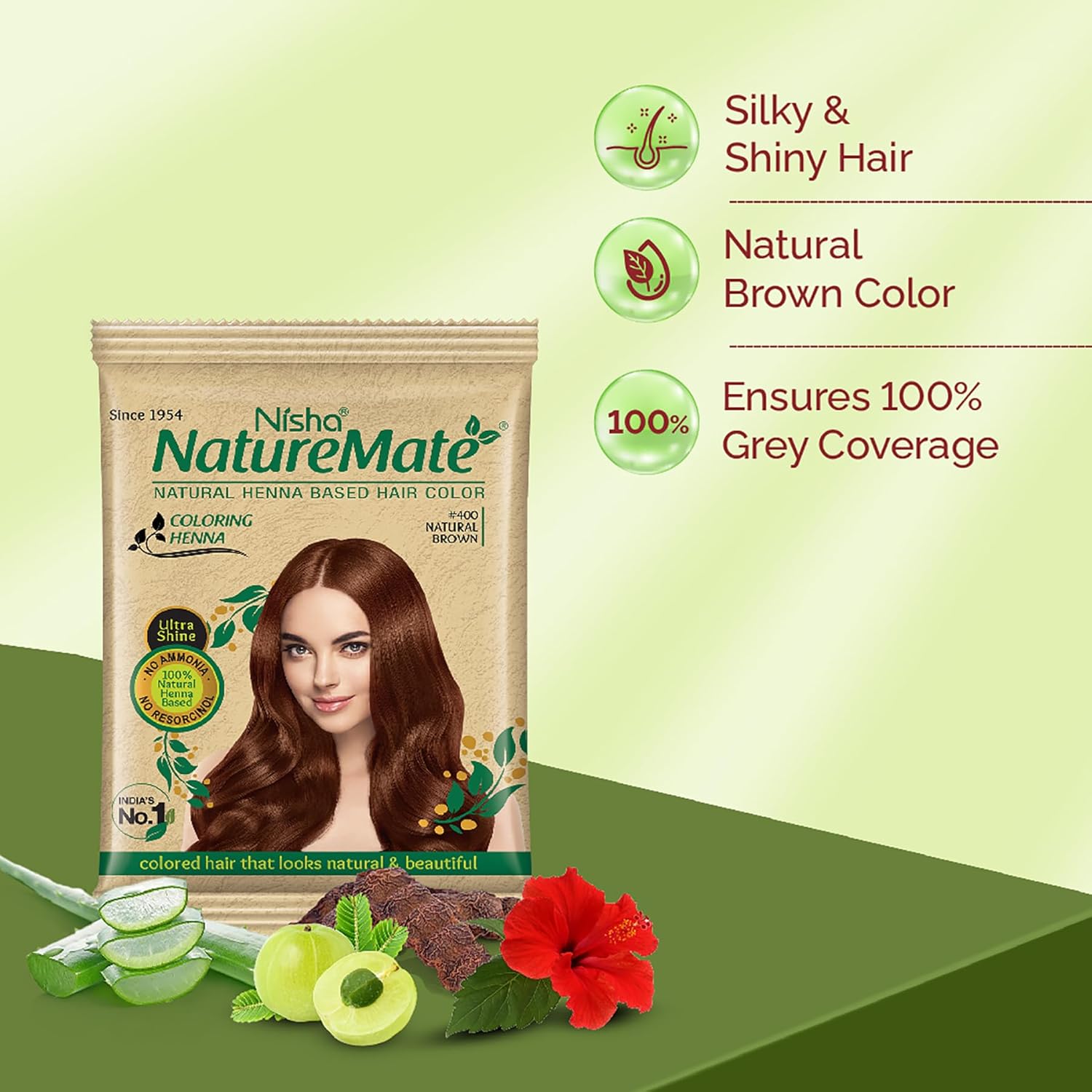Nisha Nature Mate Henna-Based Hair Color Powder 10g Sachet Pack of 10 - Natural Brown | No Ammonia, No Harmful Chemicals | Ideal for Healthy, Long-Lasting Hair Color