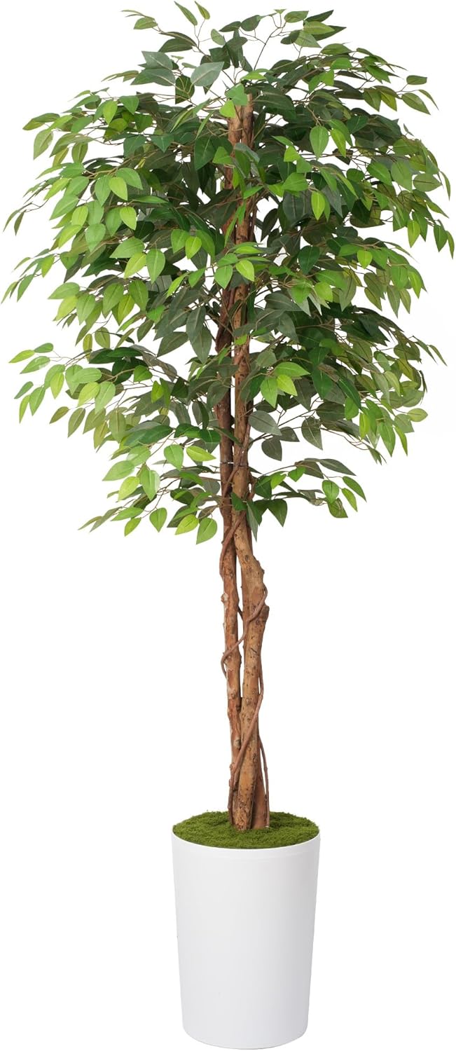 7Ft Artificial Ficus Tree in Large Tall Planter - Faux Indoor Plant with Realistic Wood Trunk - Large Tall Fake Plant for Home, Office, Living Room, Patio Decoration